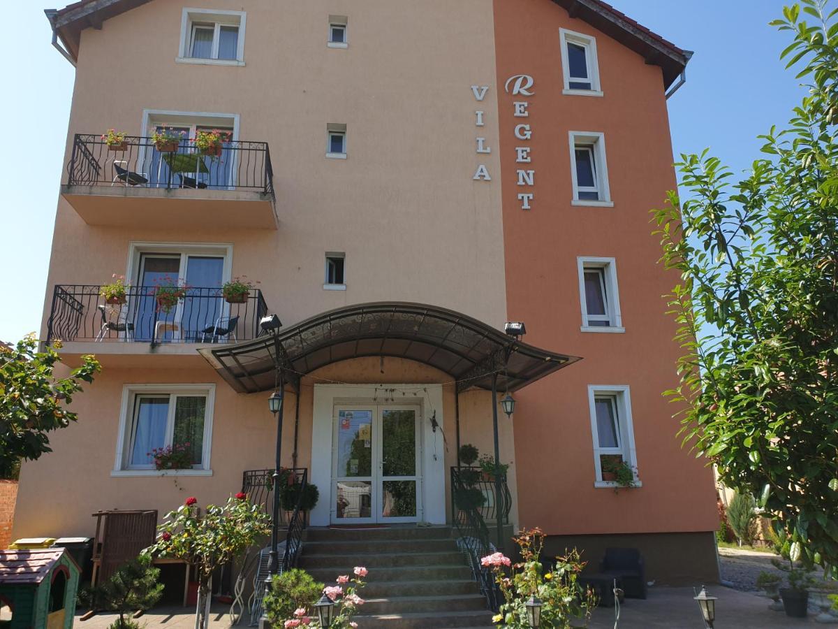 Pelican Proxy Apartment Oradea Bagian luar foto