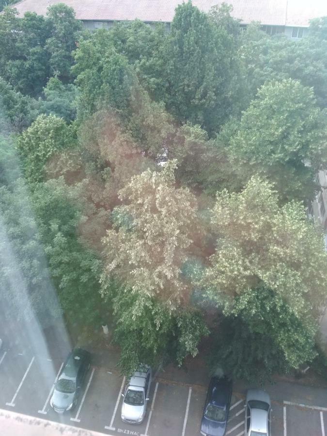 Pelican Proxy Apartment Oradea Bagian luar foto